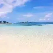 saoの画像