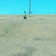 まるまる