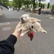 断捨離中の画像