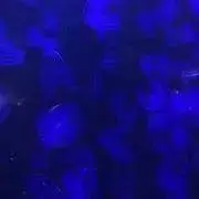 しゃるみ※プロフ必読