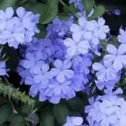 mの画像