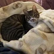 まる