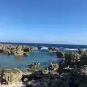 アシスドの画像