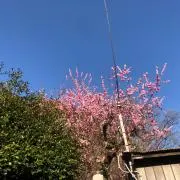 ソラ⭐︎プロフ必読⭐︎