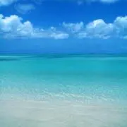 さーの画像