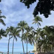 ラニの画像