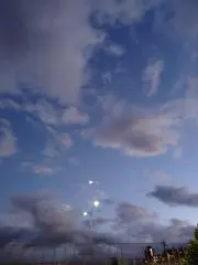 Lの画像