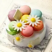 Bonbon chocolat* .の画像