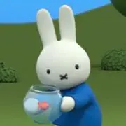 sの画像