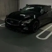 パパイヤ