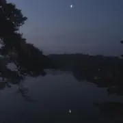 ㎖❅プロフ必読の画像