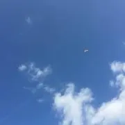 ぱぴーの