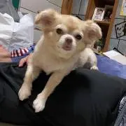 あき253