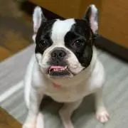 森田クルミの画像