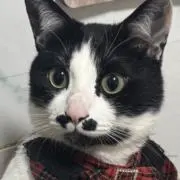 ♦♦ みい・プロフ必読 ♦♦