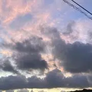 ぴ－まんの画像