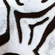 sikagala 断捨離中 値下交渉OKの画像