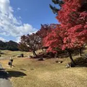 Mの画像
