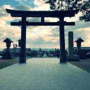 Paraの画像