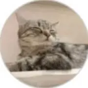 ヒロの画像