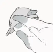 s