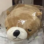 nyahonyahoの画像