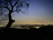 ライトニングむさしの画像