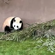 空の画像