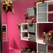 うらりの画像
