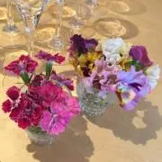 apricot@お値下げ交渉可能♪♪の画像