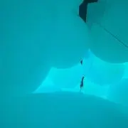 アスパラの画像
