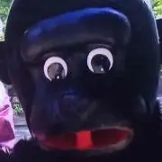 やまの画像