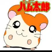 ぽーの画像