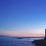 aloaloの画像