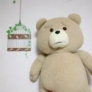Pokoの画像