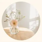 rima.の画像
