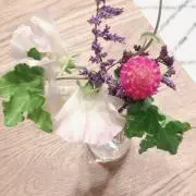 yuiの画像