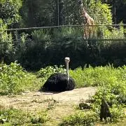あーちゃんの画像