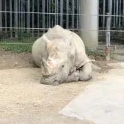 みずゆーの画像