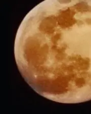みや