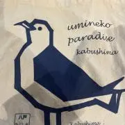 umiの画像