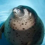ゆう