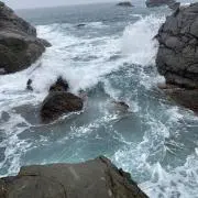 よろしくです