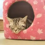 ソラ