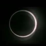 加藤明の画像