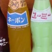 ネーポン