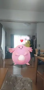 プクキョン