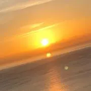 はしー