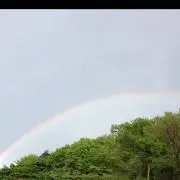 na613の画像