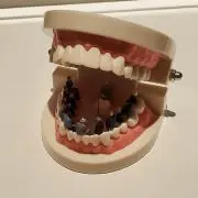 殿の画像